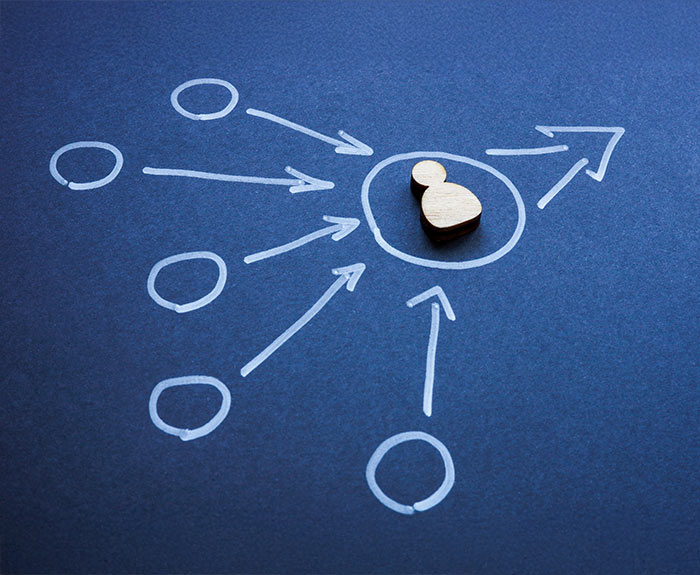 Plan for Informed Decision-Making