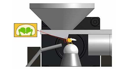 High Throughput Determination of the Neural Basis of Olfactory Preference