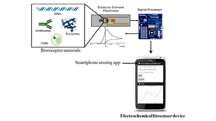 Development of Electrochemical Biosensors for Detection of Emerging Pollutants in Water